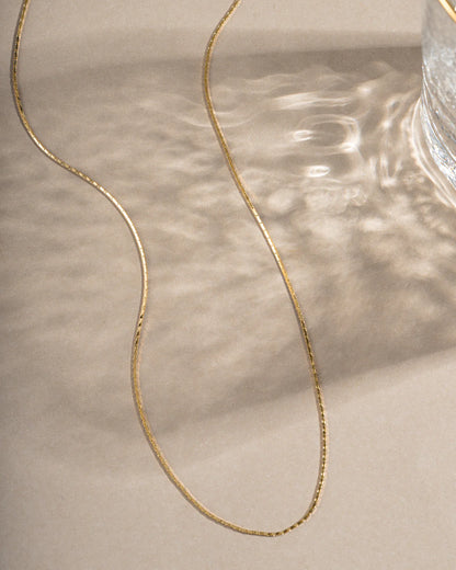 Zarela Thin Chain Necklace